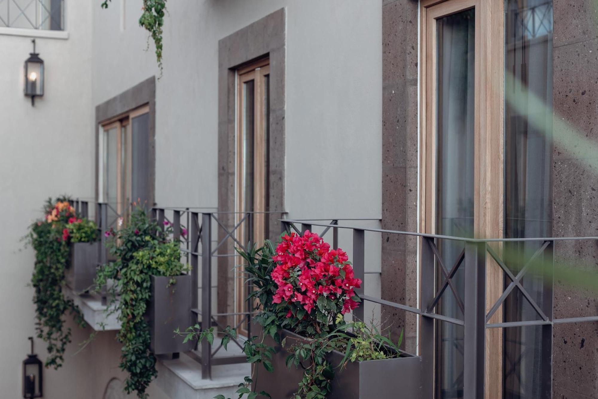 Le Cottage San Miguel De Allende, Modern Luxury In Centro With Pool & Jacuzzi Exteriér fotografie